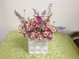 IMG_3913