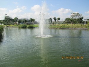 IMG_0548