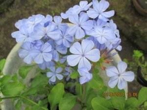 IMG_0276