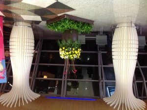 IMG_0252