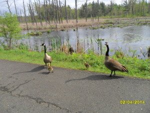 SAM_0512