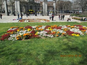 IMG_2740