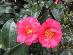 img_1256