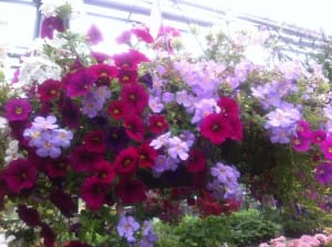 IMG_0108[1]